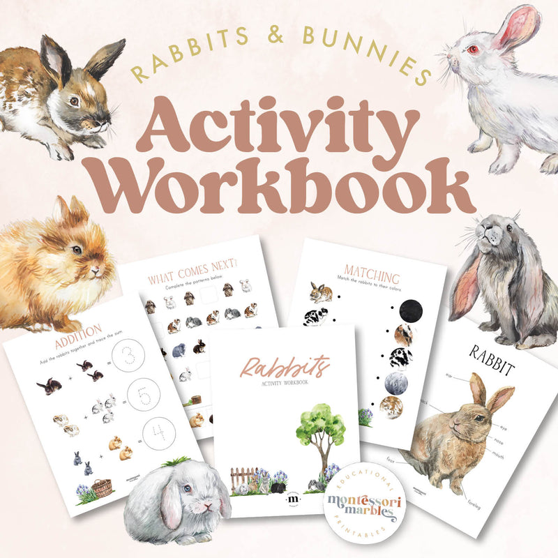 Rabbit-themed activity workbook for spring learning — ages 3-6