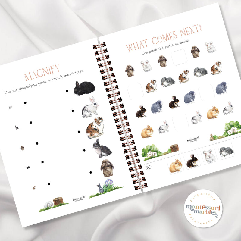 Rabbits Activity Workbook