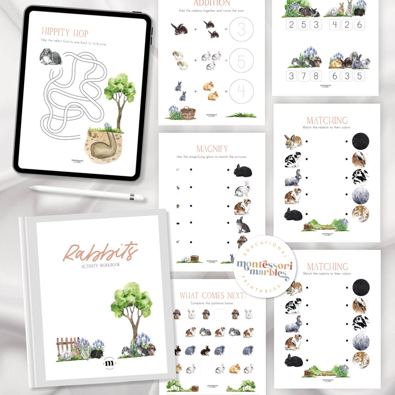 Rabbits Activity Workbook
