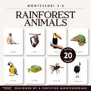 Rainforest wildlife flash cards for ecosystem and geography learning — ages 3-6