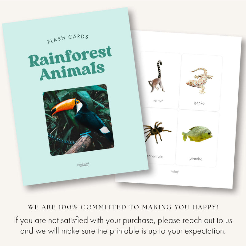 Rainforest Animals Flash Cards