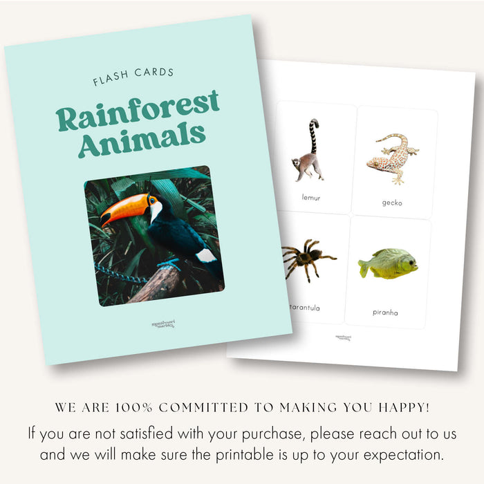 Rainforest Animals Flash Cards