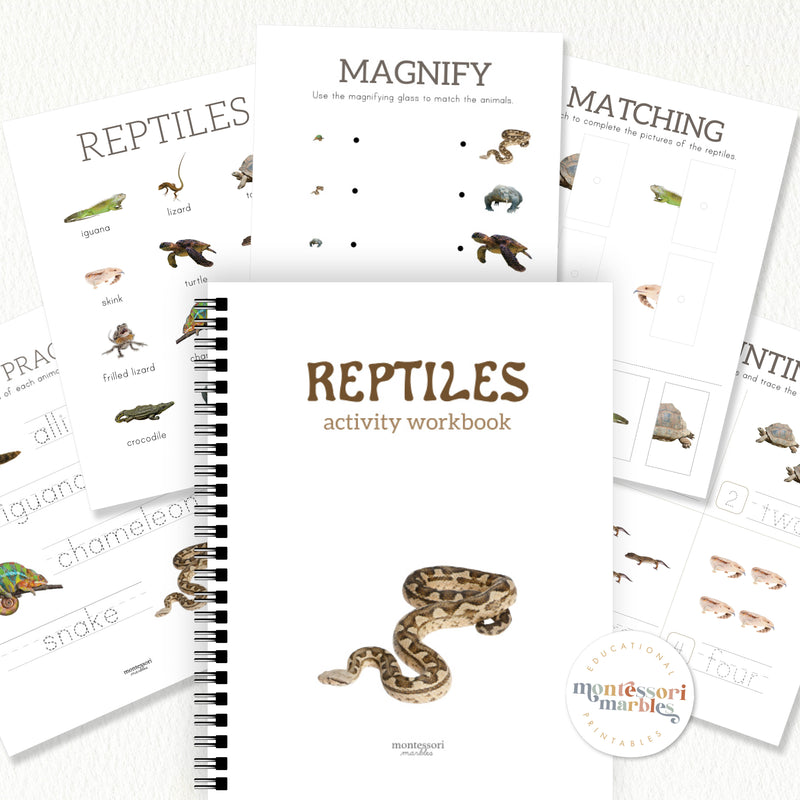 Reptiles Activity Workbook PreK & Kindergarten