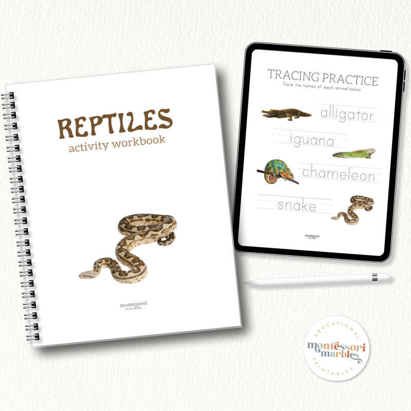 Reptiles Activity Workbook PreK & Kindergarten