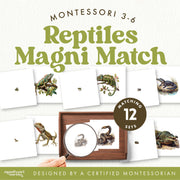 Reptile matching activity for zoology exploration and visual discrimination