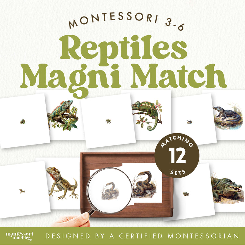Reptile matching activity for zoology exploration and visual discrimination
