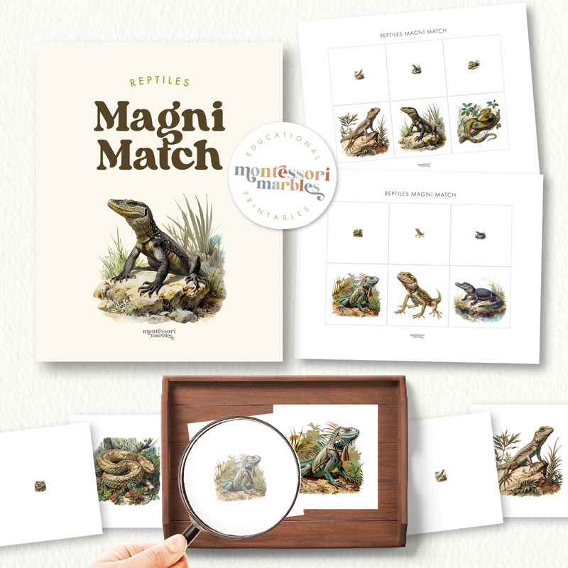 Reptiles Magni Match
