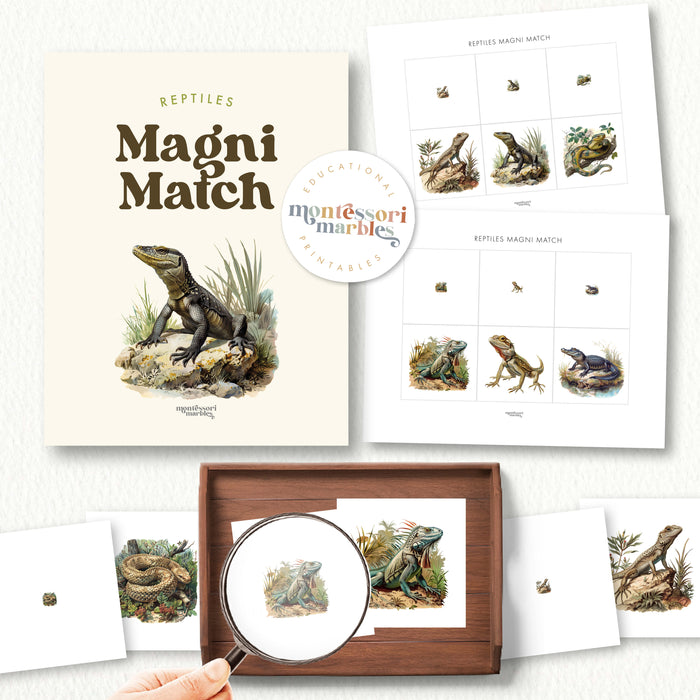 Reptiles Magni Match