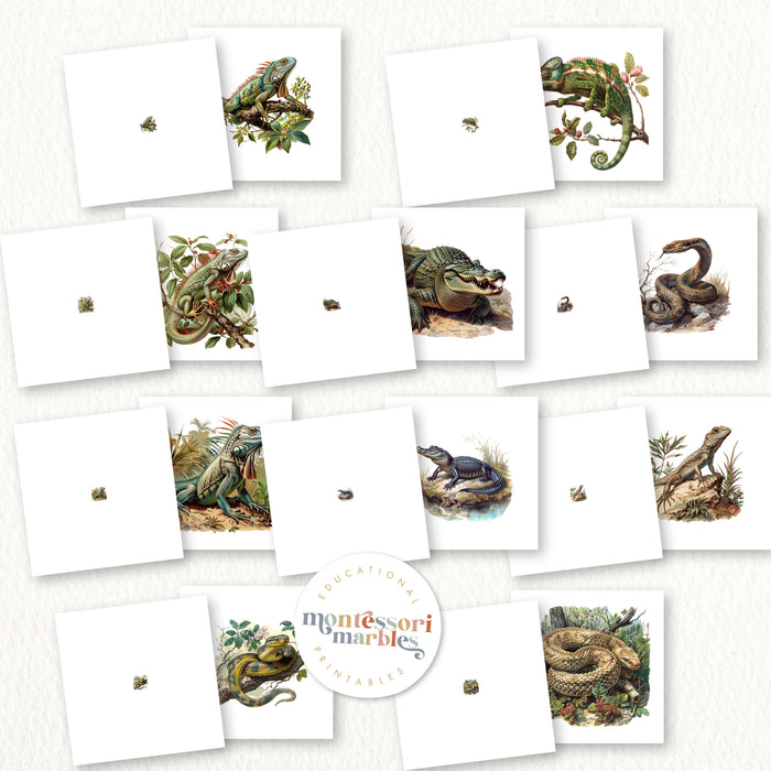 Reptiles Magni Match
