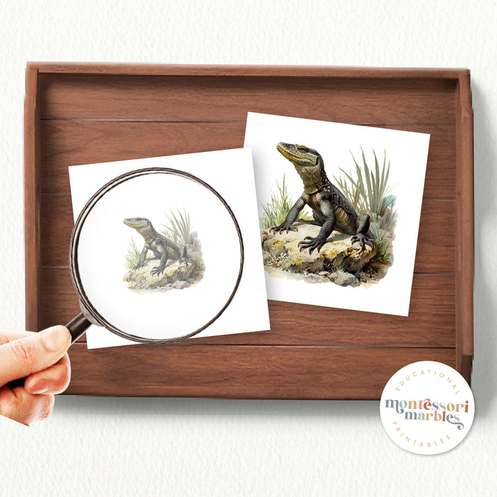 Reptiles Magni Match