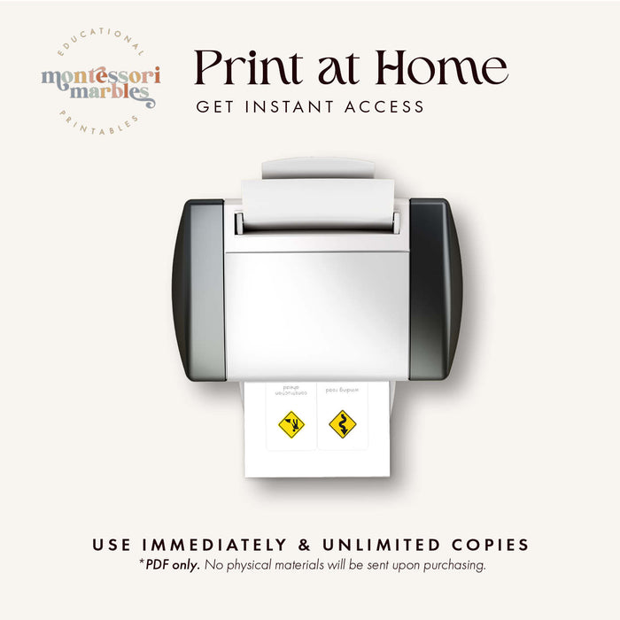 Road Signs Flash Cards