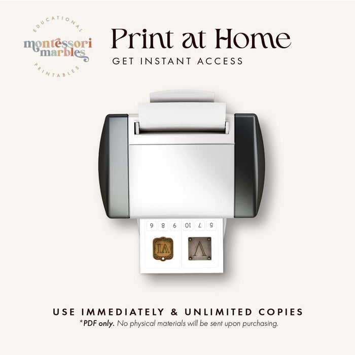 Roman Numerals Clip Cards