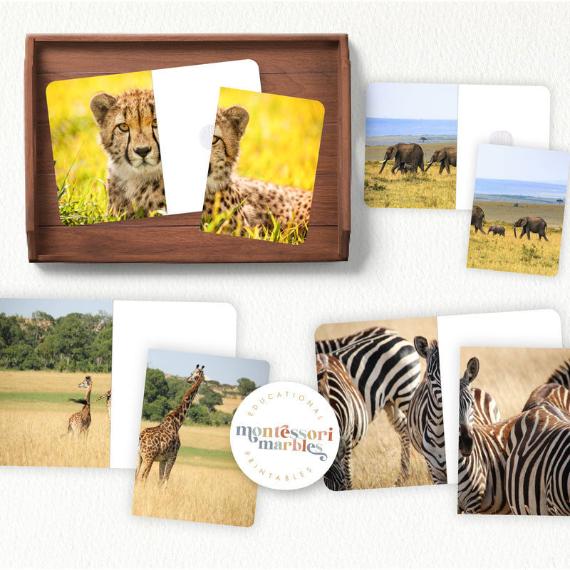 Safari Animals Complete The Pictures