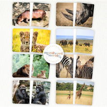 Load image into Gallery viewer, Safari Animals Complete The Pictures
