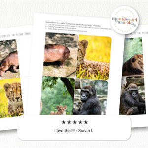 Safari Animals Complete The Pictures