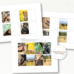Safari Animals Complete The Pictures