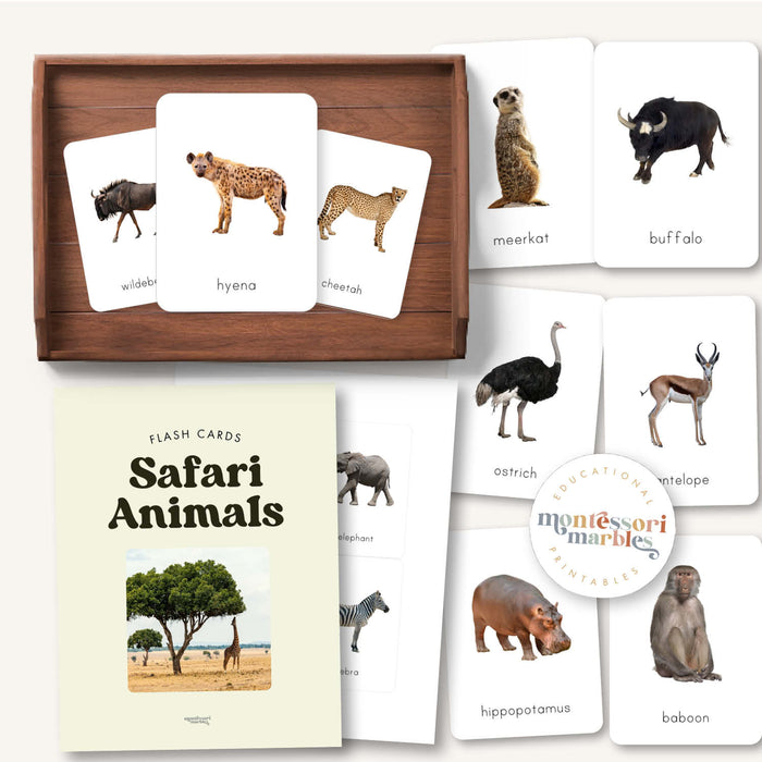 Safari Animals Flash Cards