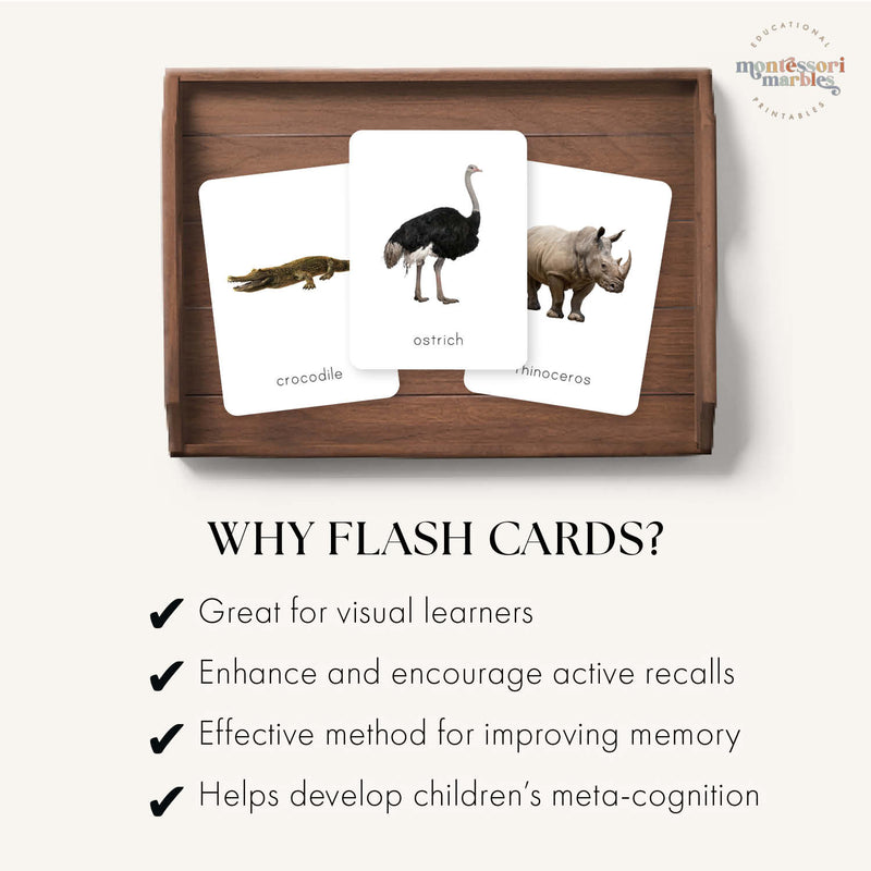 Safari Animals Flash Cards