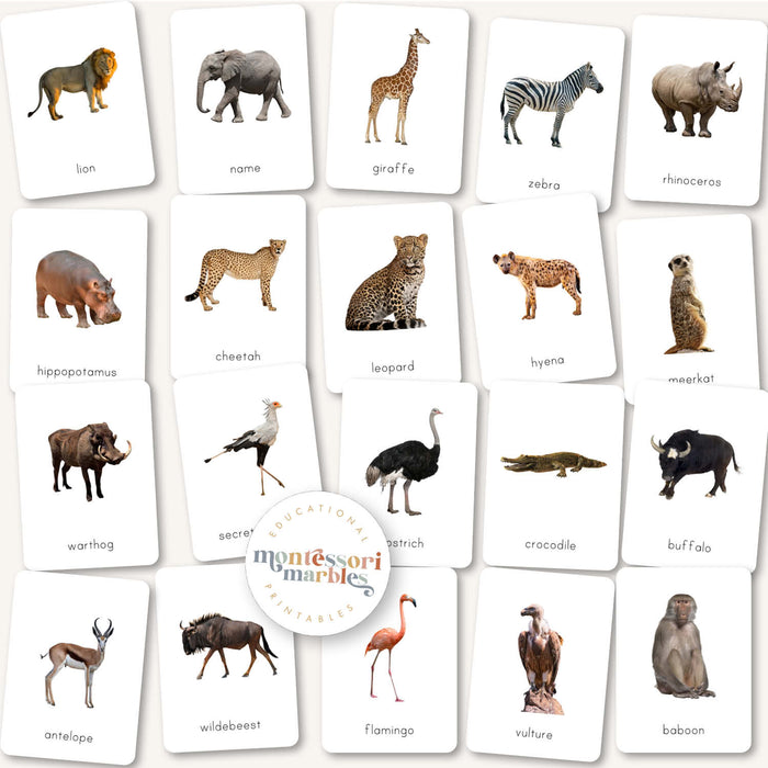 Safari Animals Flash Cards