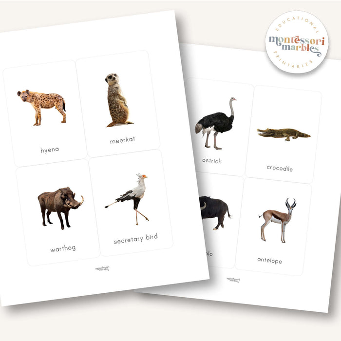 Safari Animals Flash Cards