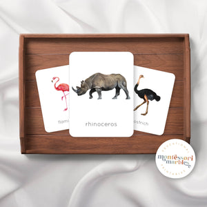 Safari Animals Flash Cards
