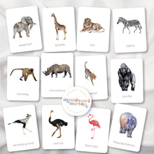 Load image into Gallery viewer, Safari Animals Flash Cards

