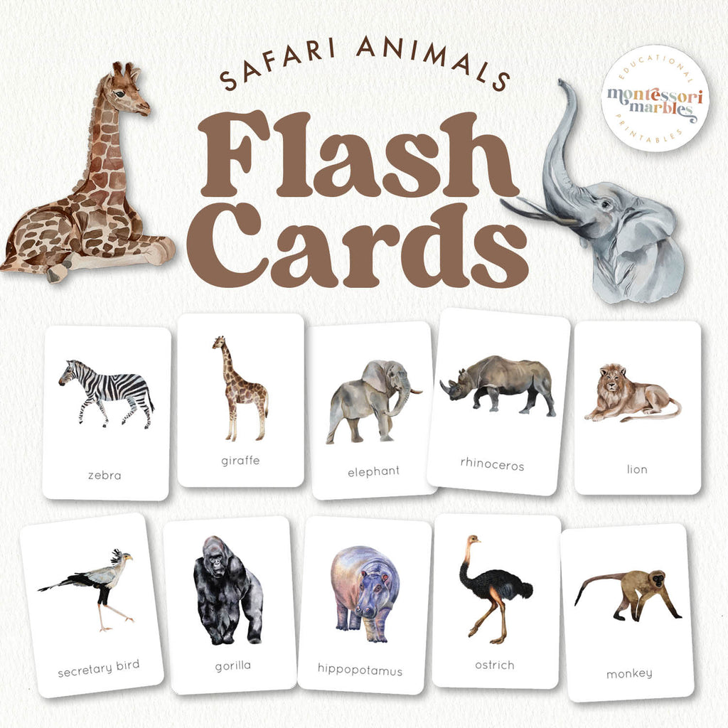 Safari Animals — Montessori Marbles
