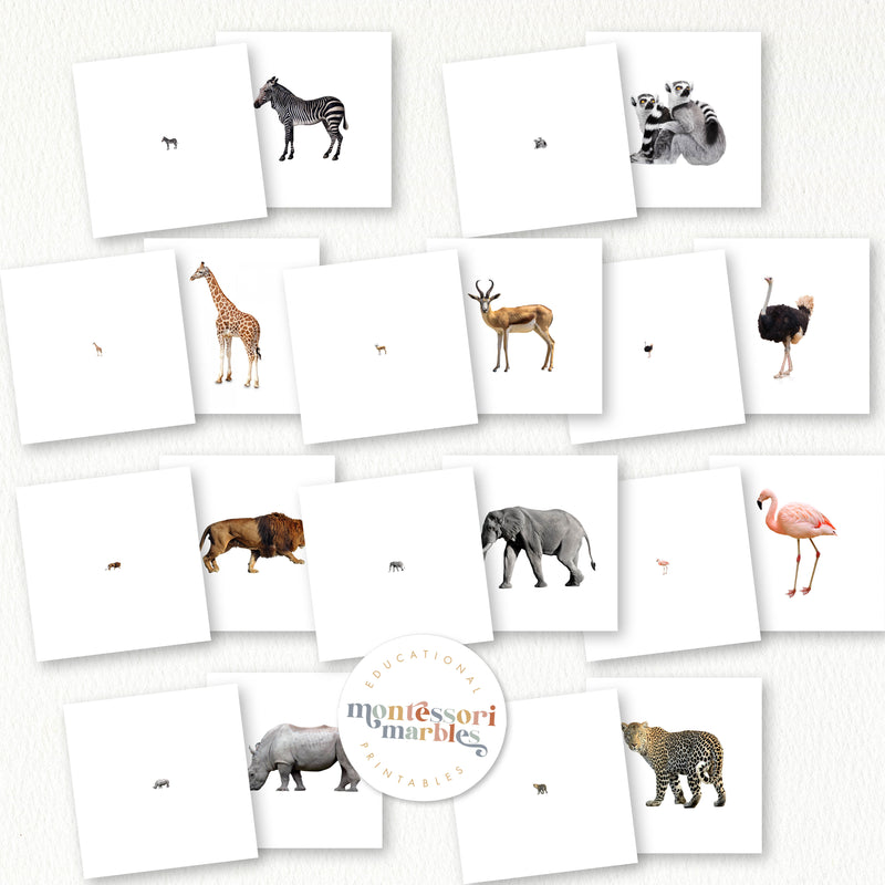 Safari Animals Magni Match