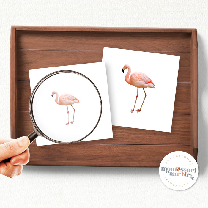 Safari Animals Magni-Match