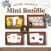 Safari animals collection with African wildlife