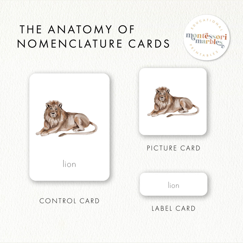 Safari Animals Nomenclature Cards