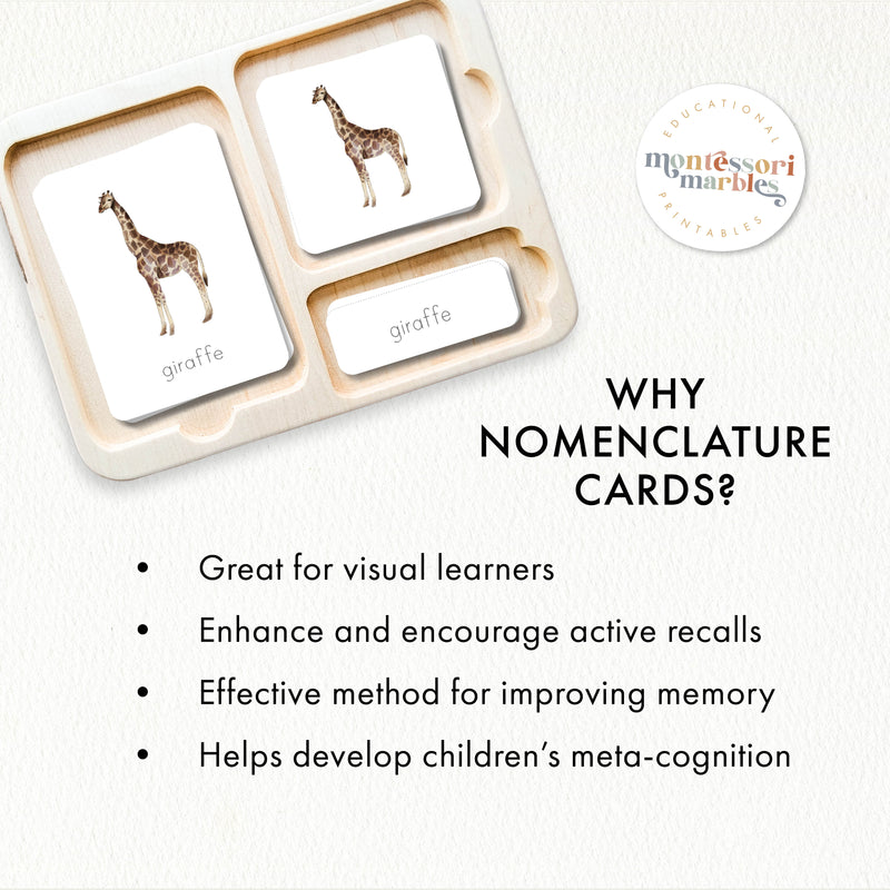 Safari Animals Nomenclature Cards