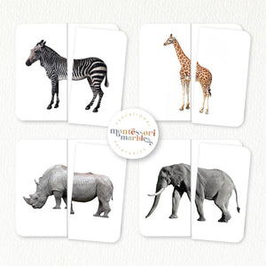 Safari Animals Mini Bundle