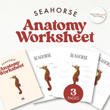 Load image into Gallery viewer, Seahorse Anatomy Worksheet
