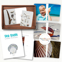 Load image into Gallery viewer, Seashells Complete The Pictures
