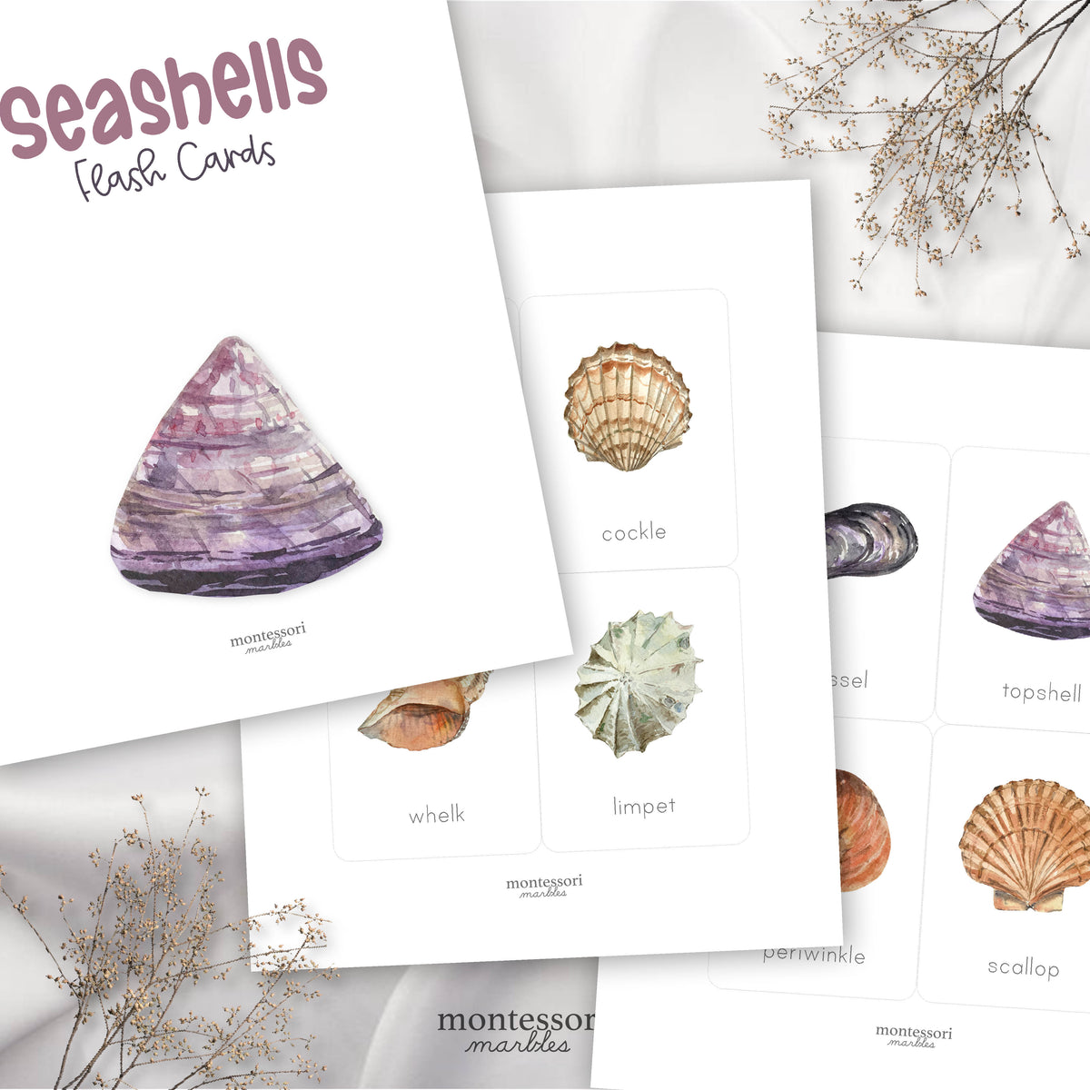 Seashells Flash Cards | Montessori Printable Activity Resources ...
