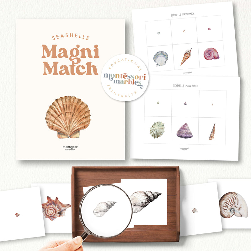 Seashells Magni Match