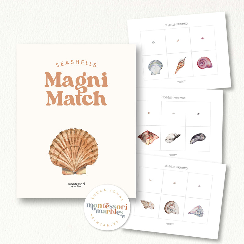 Seashells Magni Match