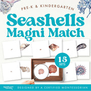 Seashells magnifying glass matching activity for beach science — ages 3-6