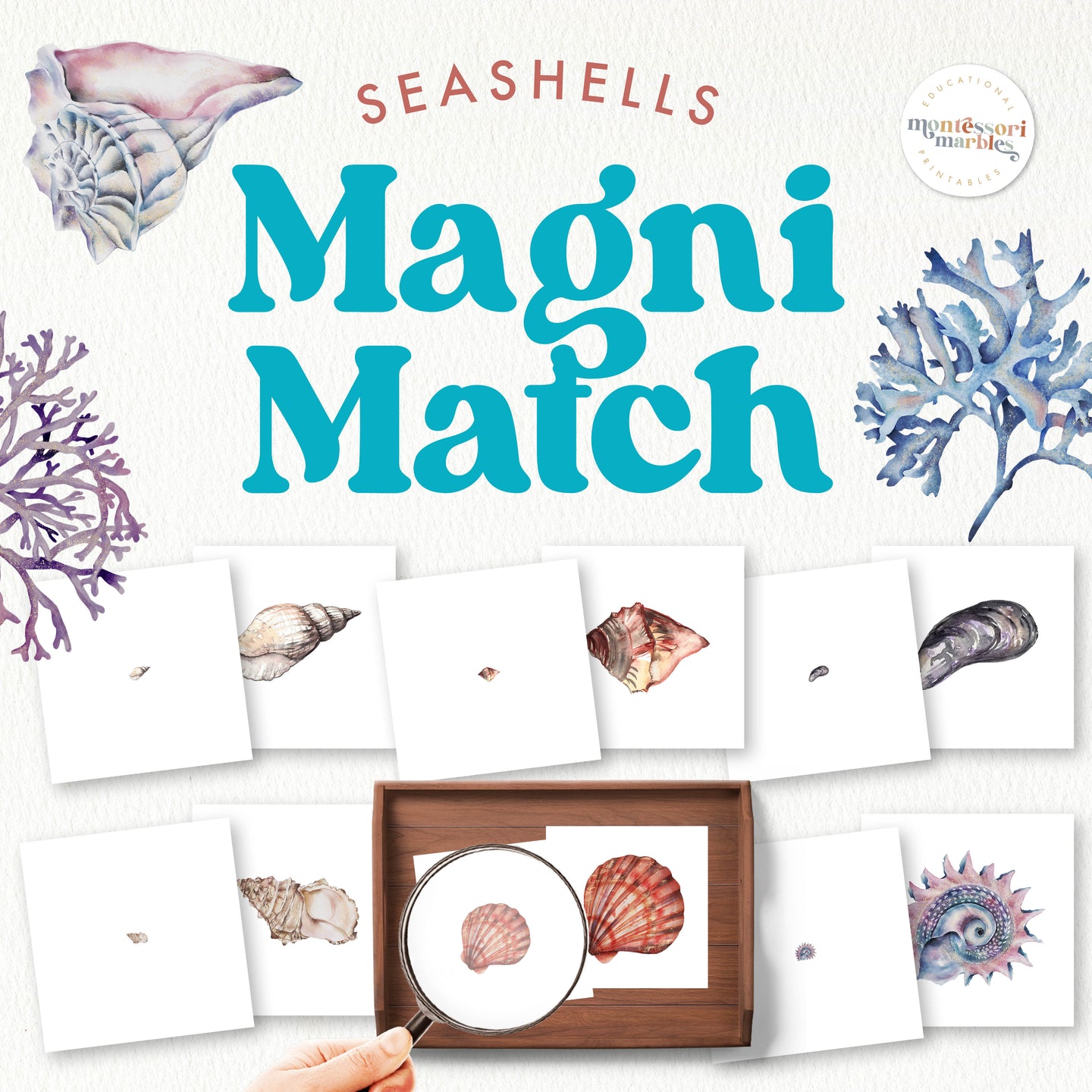 Seashells Magni-Match