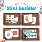 Seashells beach-themed collection with summer learning activities — nature bundle