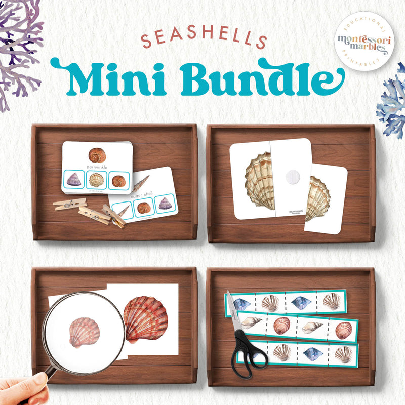 Seashells beach-themed collection with summer learning activities — nature bundle