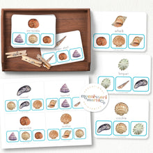 Load image into Gallery viewer, Seashells Activity Bundle for Early Years
