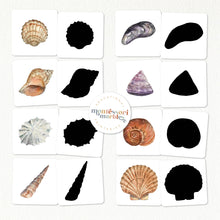 Load image into Gallery viewer, Seashells Activity Bundle for Early Years
