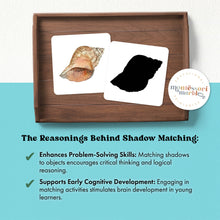 Load image into Gallery viewer, Seashells Shadow Matching
