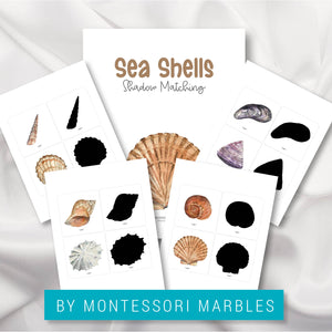 Seashells Shadow Matching