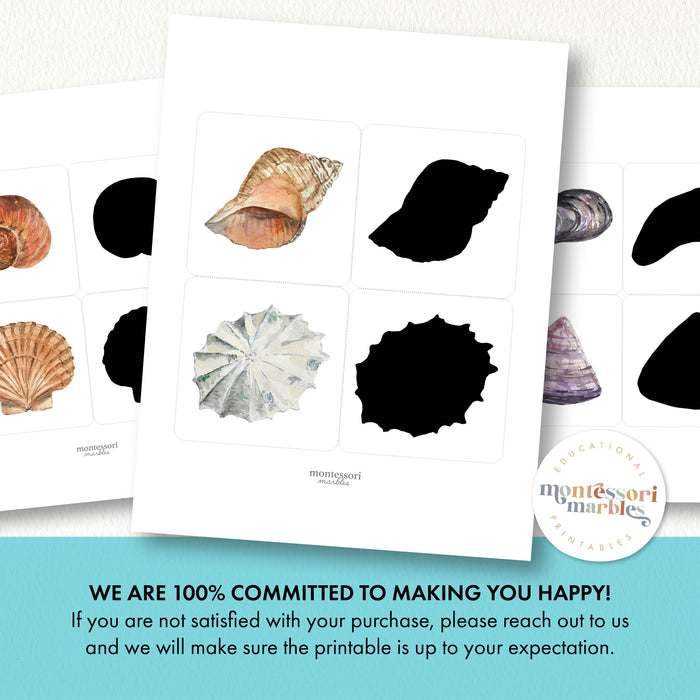Seashells Shadow Matching