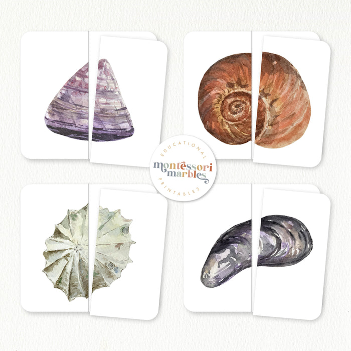 Seashells Mini Bundle