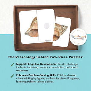 Seashells Two-Piece Puzzles