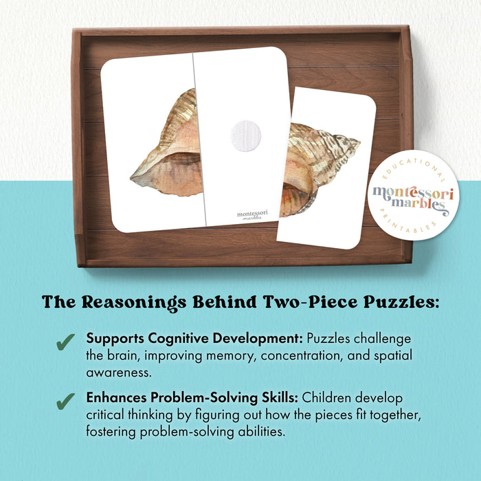 Seashells Two-Piece Puzzles